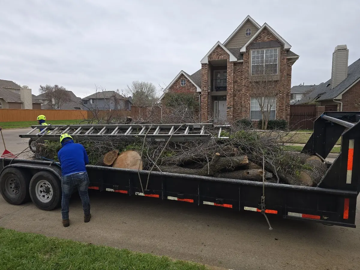 Expert Tree Removal with proper safety equipment in North Lawrence